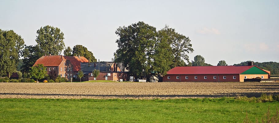 Farm, Bauer, Stables, Mast, System, large-bauer, mast system HD wallpaper