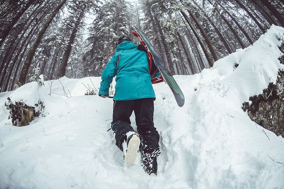 man climbing snow near trees, man walking in forest at daytime HD wallpaper