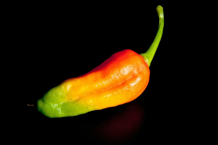 chili, orange, green, sharp, spice, sharpness, vegetables, pepper HD wallpaper