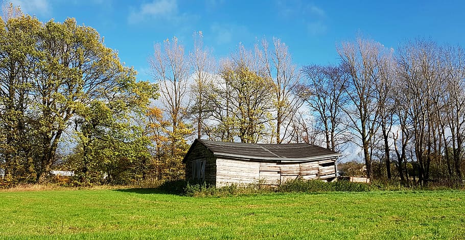 stall, vacation, scale, lapsed, nature, trees, wood, rural HD wallpaper