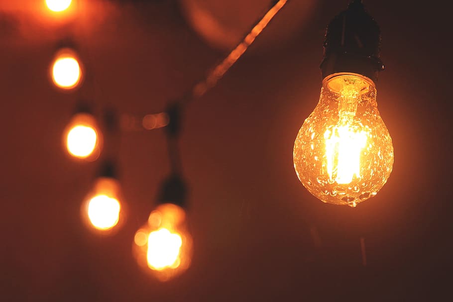 Closeup shot of light bulbs, various, technology, electric Lamp