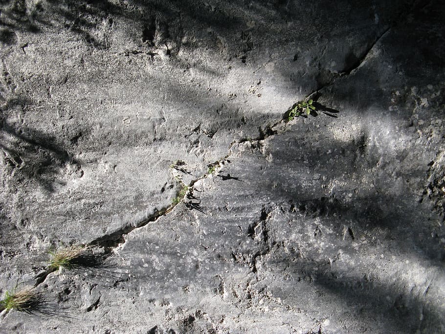 crack, wall, green, shadows, no people, nature, textured, day HD wallpaper