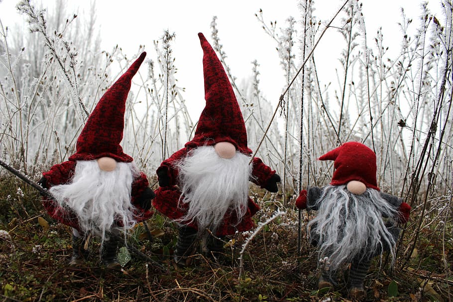 Three Christmas Gnome on grass, three red gnomes on grass field HD wallpaper