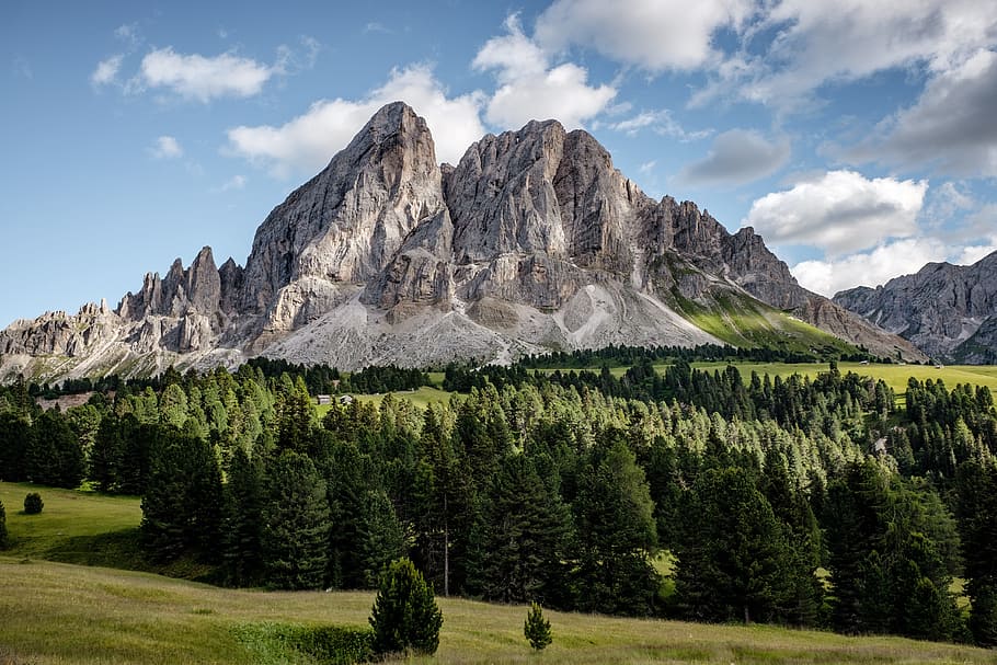 green pine trees near brown mountain under white and blue sky HD wallpaper