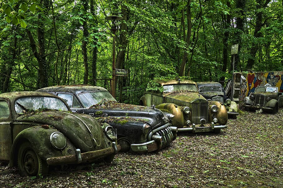 car parked beside trees, auto, car cemetery, oldtimer, rust, stainless karre