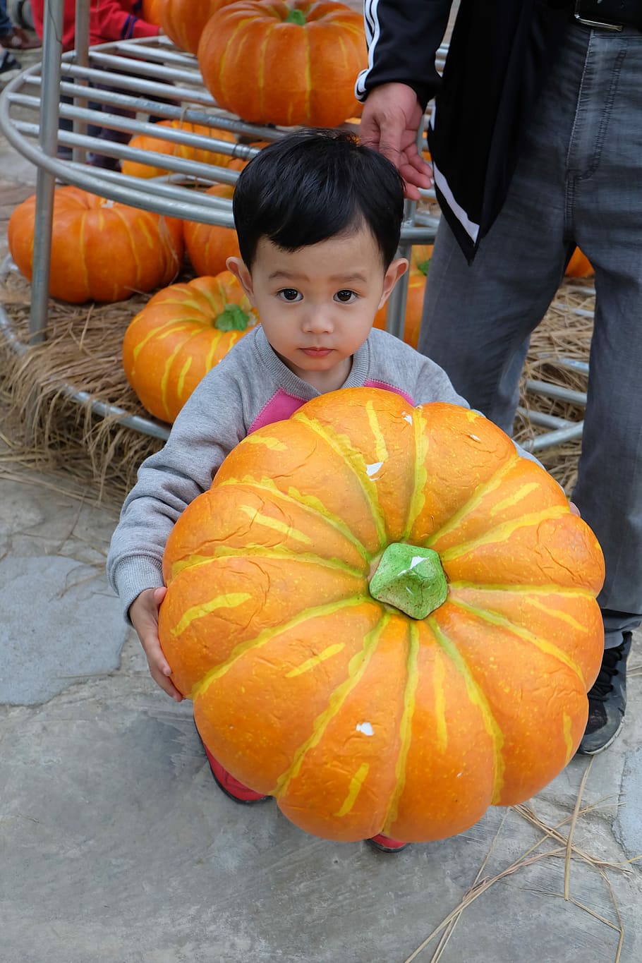 Spring, Kids, Paradise, Garden, boy, cute, pumpkin, halloween HD wallpaper