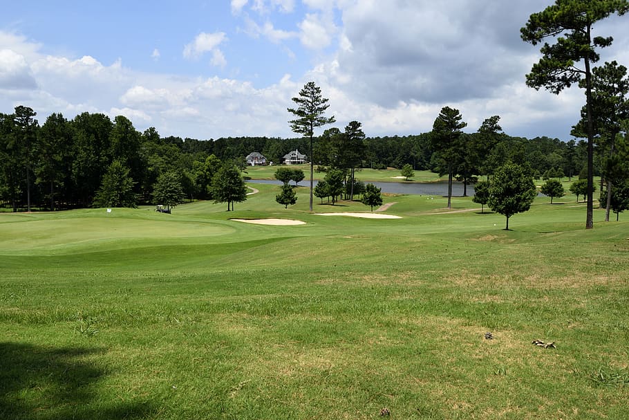 golf, grass, course, fairway, putt, tee, golfer, hole, nature HD wallpaper