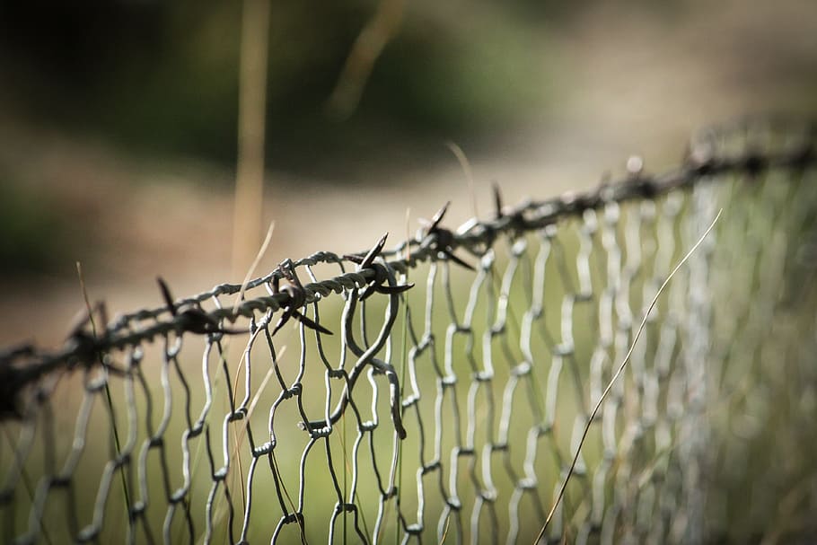 barbed wire, fence, wire mesh, wire netting, boundary, barrier HD wallpaper