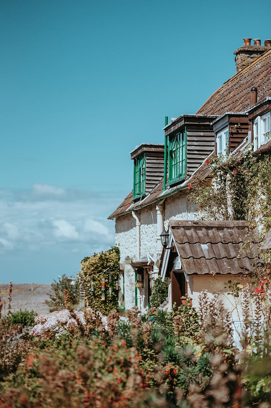 Sea Side Cottage, Porlock Weir, United Kingdom, concrete house surrounded by plants HD wallpaper