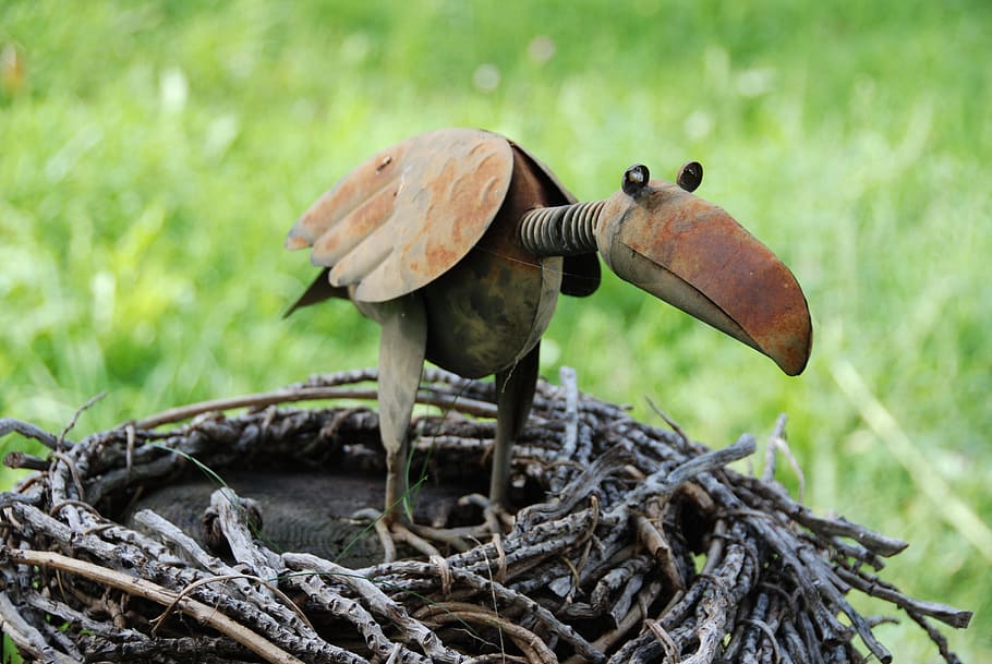 Tinny, Bird, Branches, tinny bird, rusty, no people, grass HD wallpaper