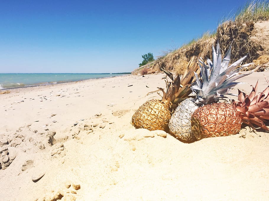 three pineapples on sand beach, pineapples on seashore during daytime, HD wallpaper