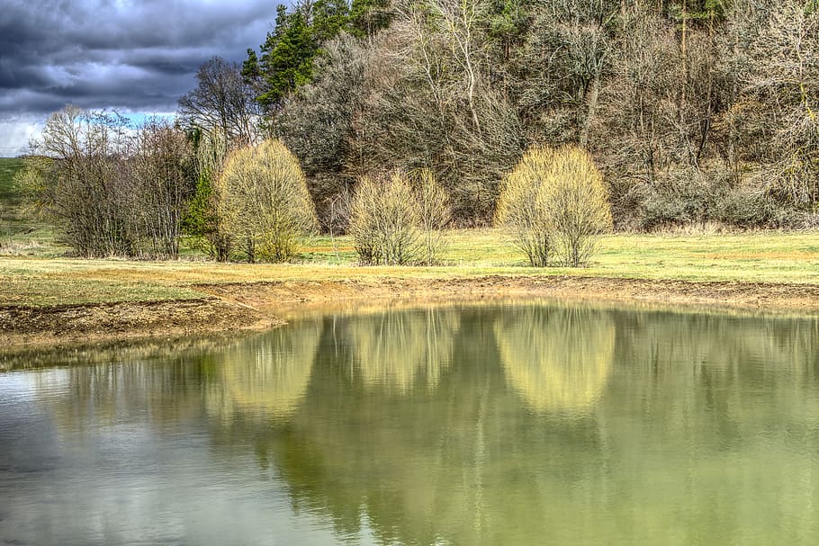 nature, waters, reflection, grass, landscape, biotope, lake HD wallpaper