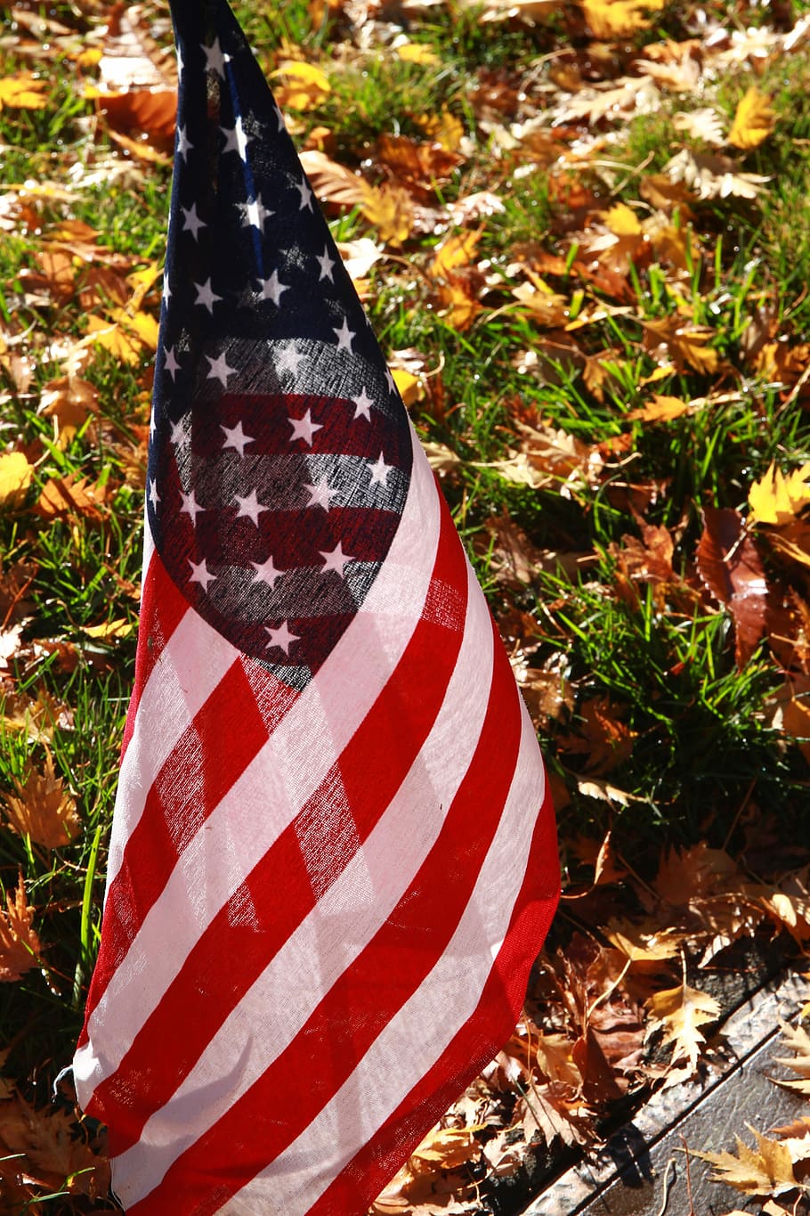 U.S.A. flag during daytime, Flag, Fall, Memorial Day, Cemetery HD wallpaper