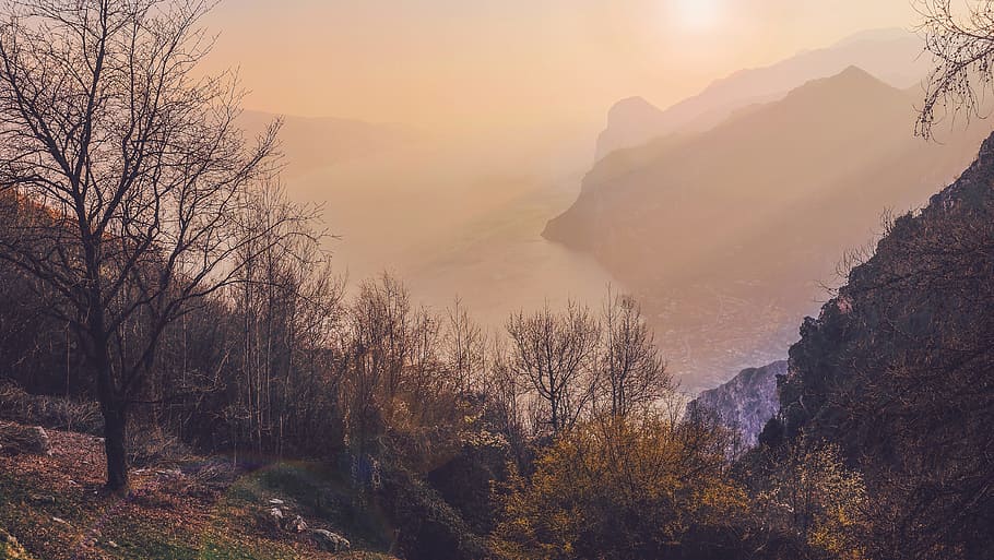mountain, highland, landscape, trees, plant, grass, sunset HD wallpaper