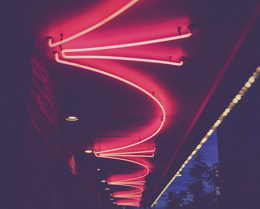 pink lights on ceiling, dark, night, trees, rood, rood ,ceiling HD wallpaper