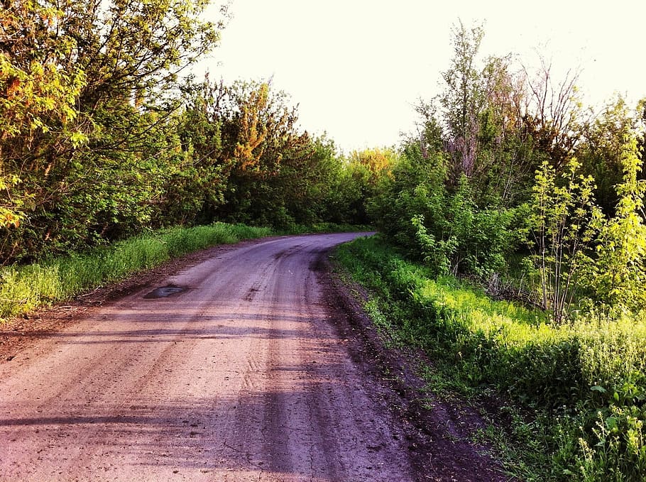 road, spring, russia, landscape, nature, rural Scene, tree HD wallpaper