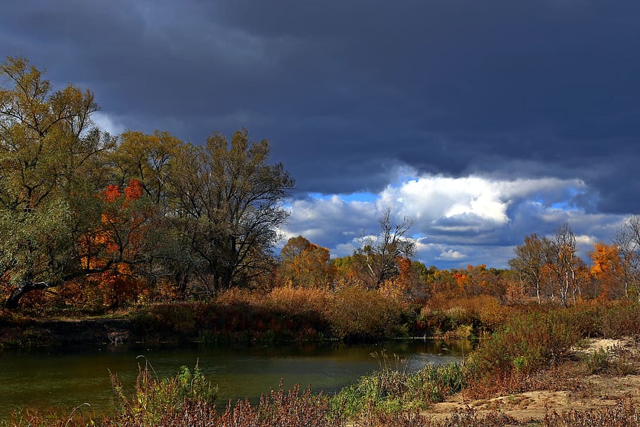 nature, tree, landscape, panoramic, river, cloud - sky, autumn HD wallpaper
