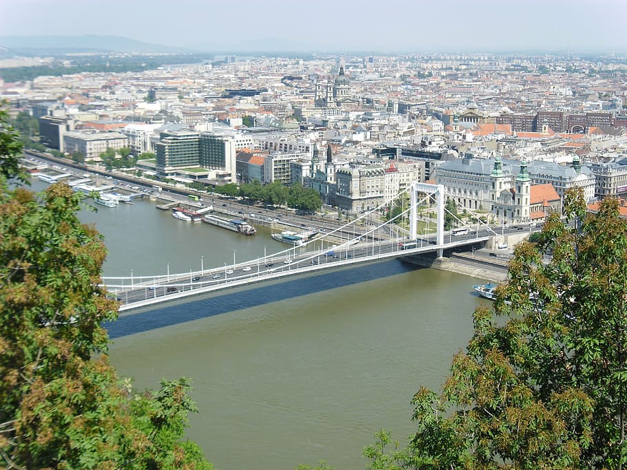 budapest, capital, bridge, danube, built structure, architecture HD wallpaper