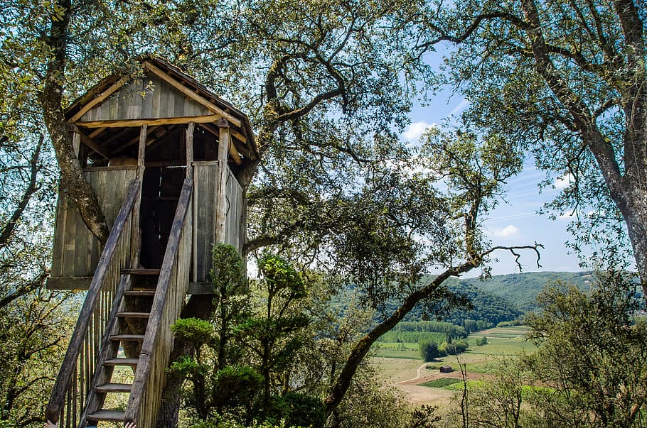 brown tree house during daytime, play, kids, children, fun HD wallpaper