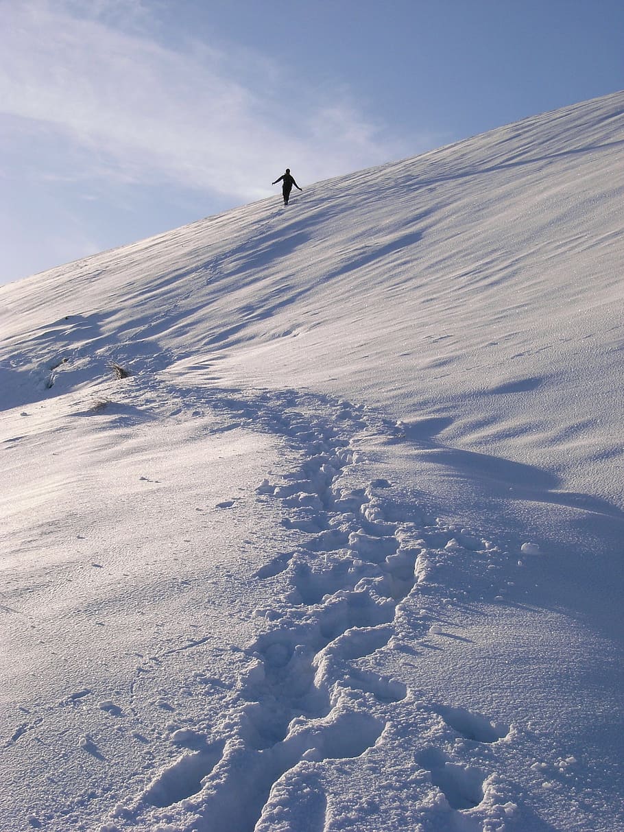 person walking on snowfield, footprints, alone, nature, winter HD wallpaper