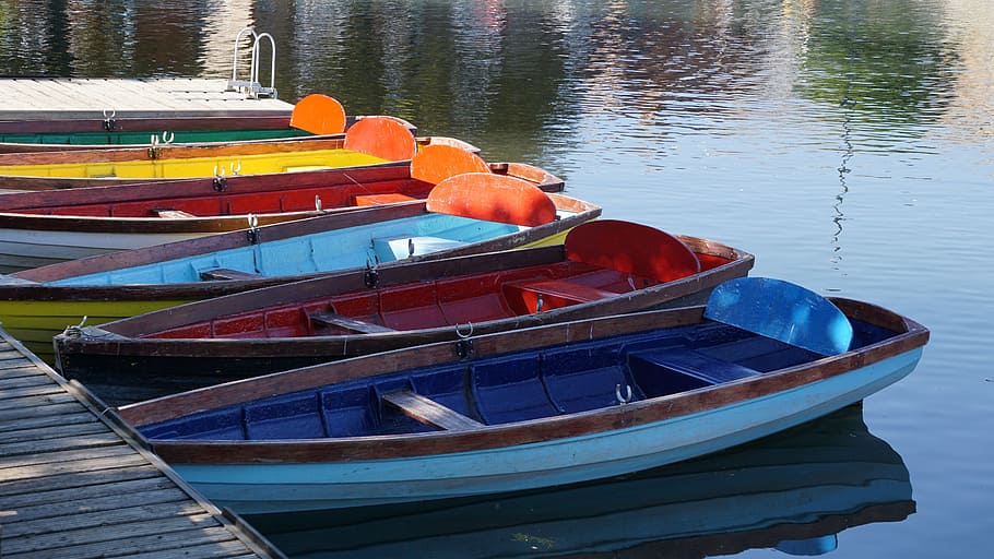 Colourful, Row Boats, Summer, calm, water, nautical, nautical Vessel, HD wallpaper