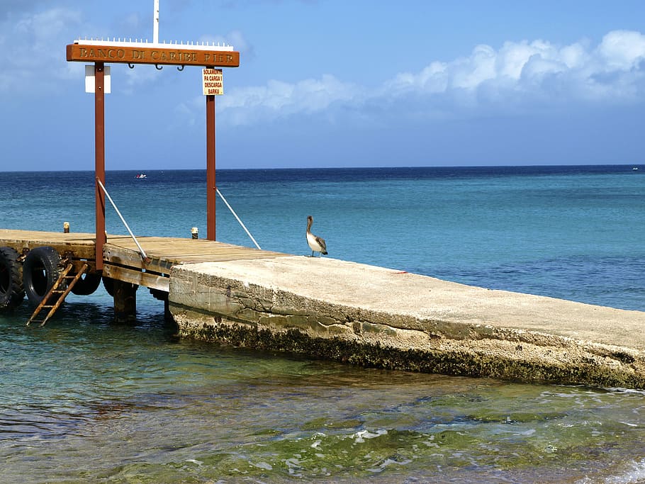 web, pier, boardwalk, horizon, wide, overview, distant, nature HD wallpaper