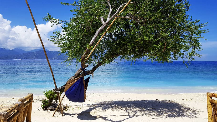 hammock, beach, depend on, relax, holiday, summer, sea, rest HD wallpaper