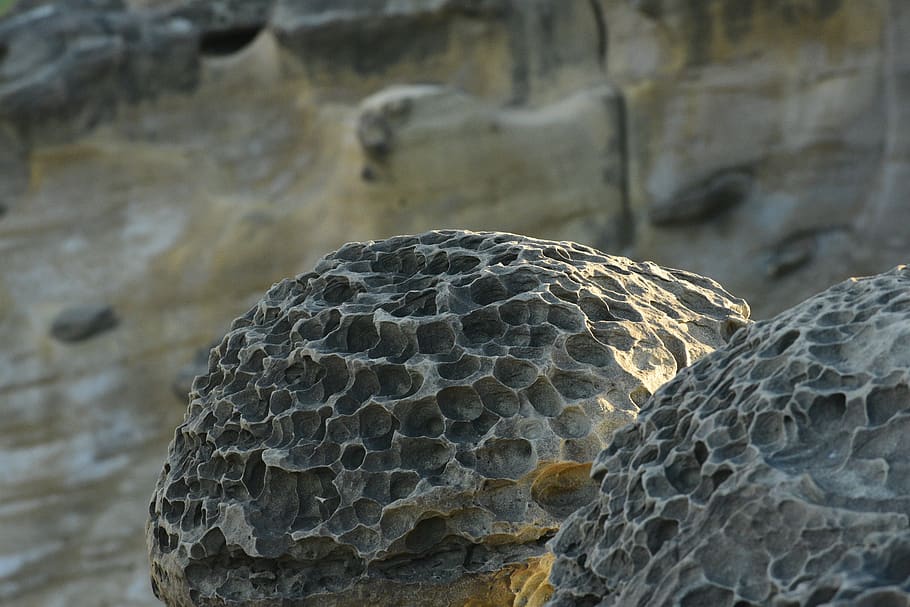nature, animal, wildlife, bird, stone, mushroom-shaped rock, HD wallpaper