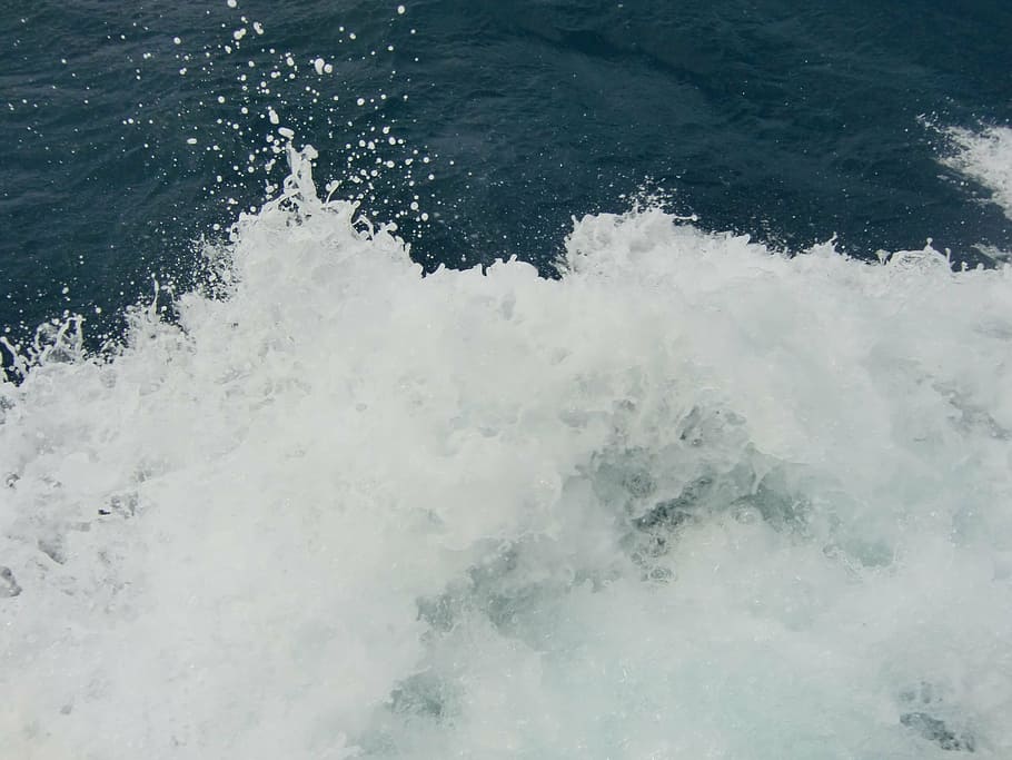 sea, wave, foam, head, water, wild, croatia, sport, aquatic sport HD wallpaper