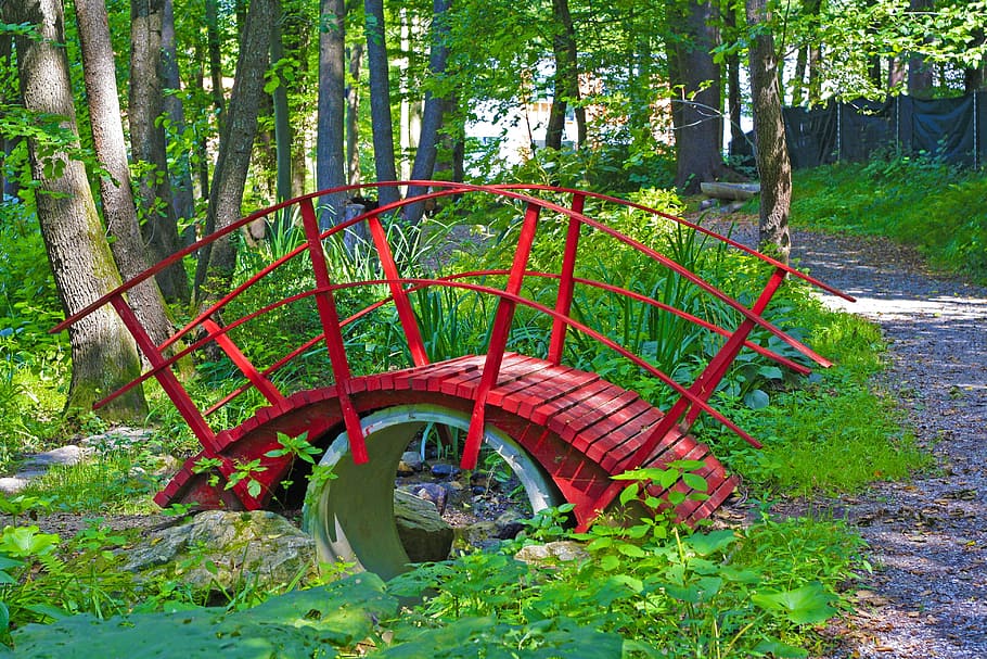 Forest, Web, Bridge, Bach, Creek, red, nature, water, transition HD wallpaper