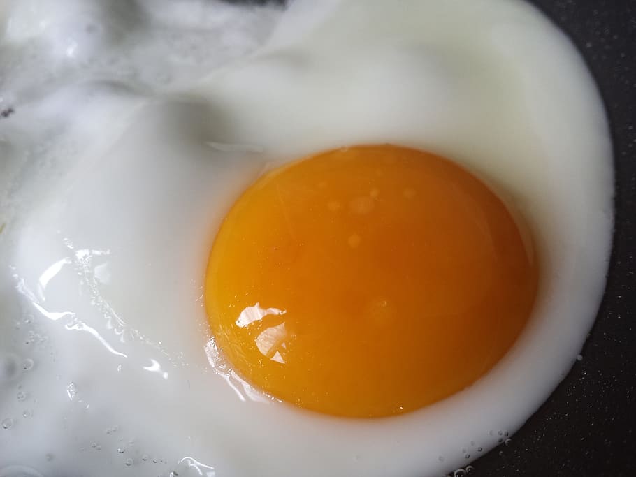 fried egg, food, breakfast, meal, yellow, morning, cook, frying HD wallpaper