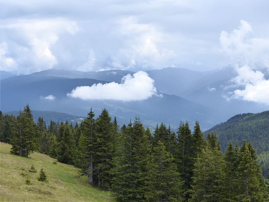 clouds, mountains, forest, landscape, forests, natural spectacle HD wallpaper