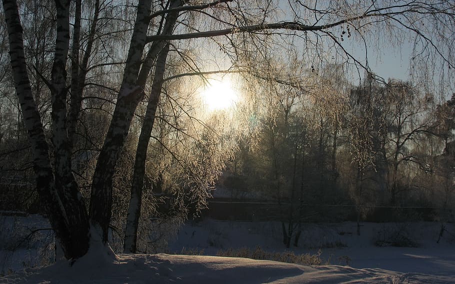 winter, snow, sun, sunset, landscape, cold, cold temperature HD wallpaper