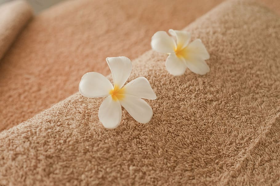 two white 5-pelted flowers on brown textile, spa, message, massages