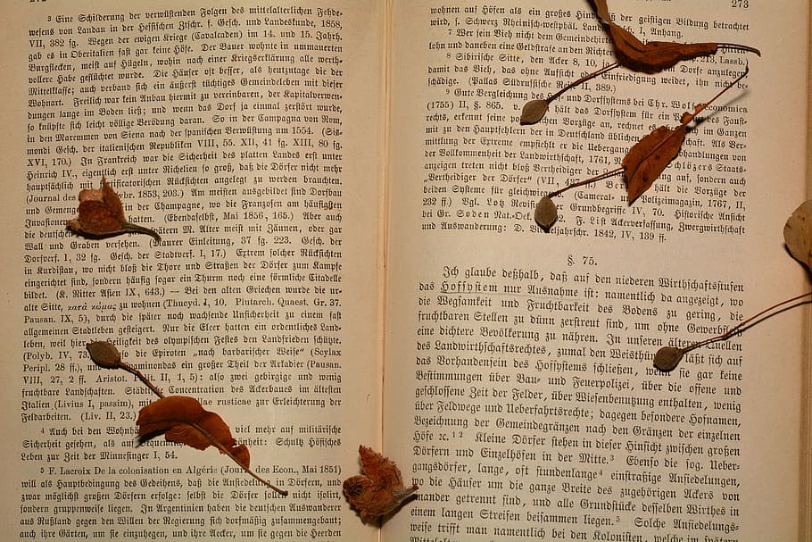Book, Font, Old, Close, text, no people, paper, indoors, close-up HD wallpaper