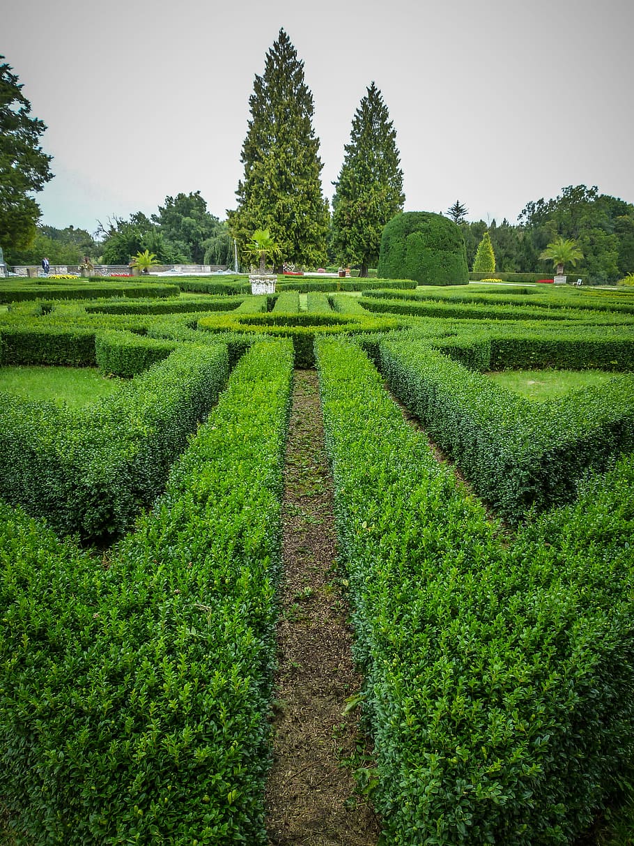 castle garden, park, plant, green color, tree, field, growth HD wallpaper