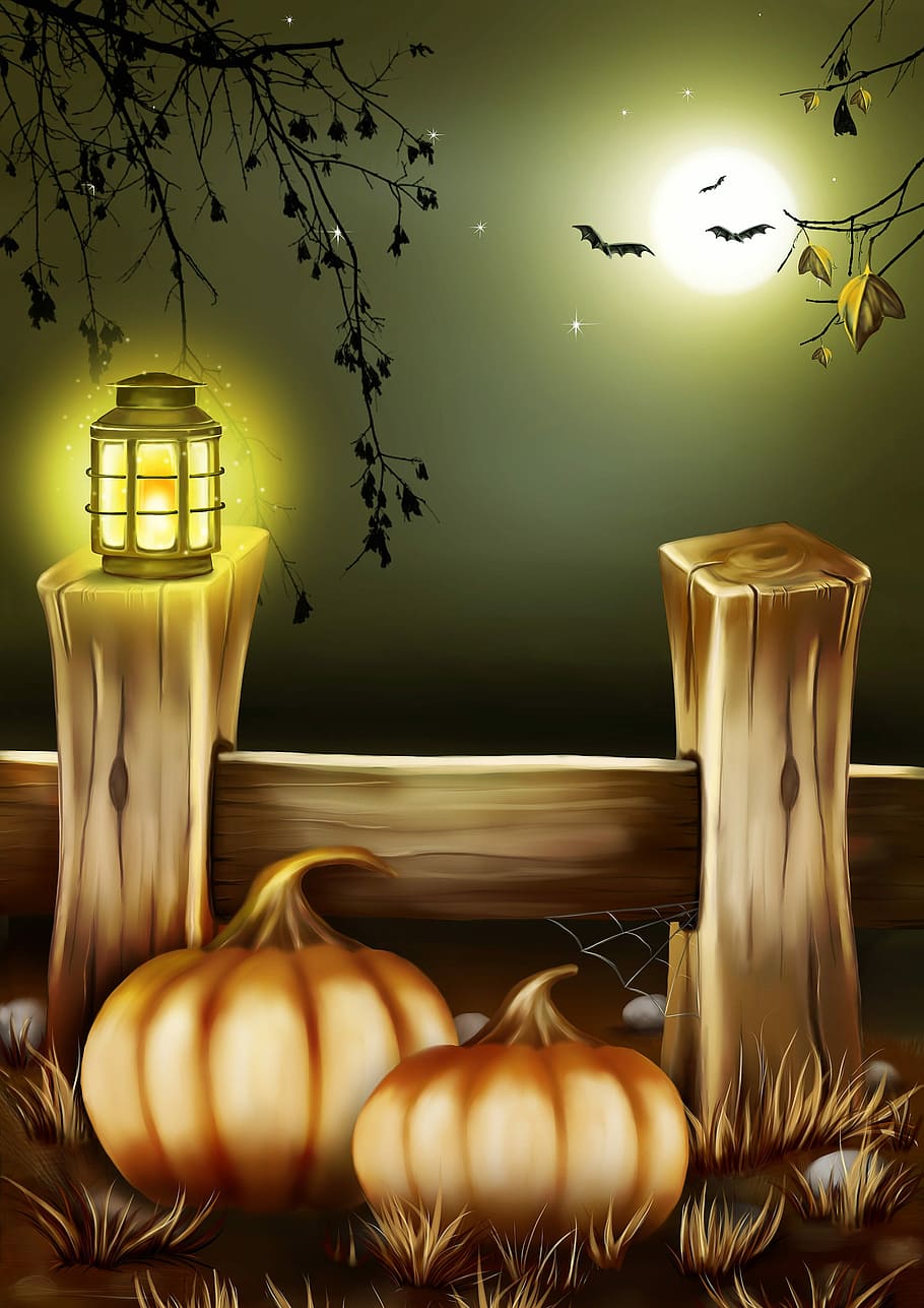 Lights, Pumpkins, and Bats under a full moon Halloween scene, HD wallpaper