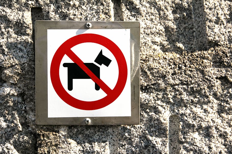 dog, prohibited, ban, sign, dog ban, prohibitory, no dog toilet HD wallpaper