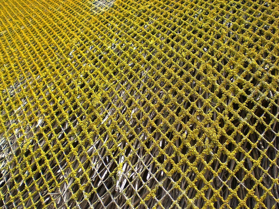 weave, grid, network, thatched roof, full frame, backgrounds HD wallpaper