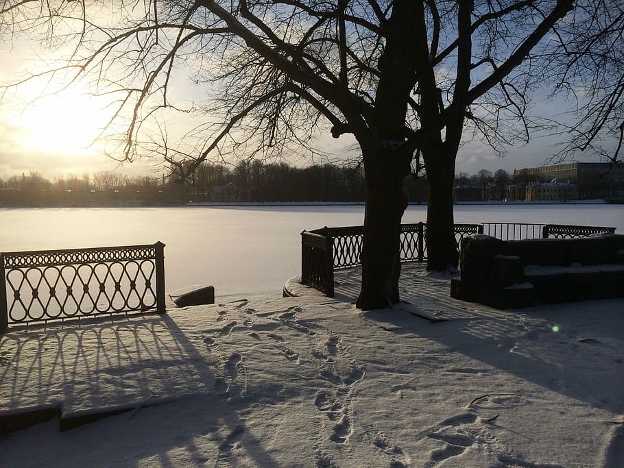 winter, nature, river, snow, cold, winter background, landscape HD wallpaper