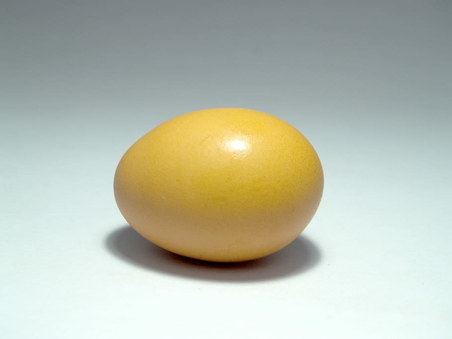 Egg, Pink, Market, Eggshell, Cholesterol, meal, agriculture HD wallpaper