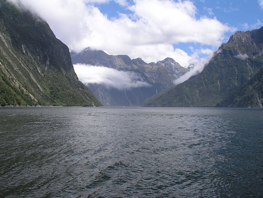 new zealand, milford sound, fjord, nature, landscape, country, HD wallpaper