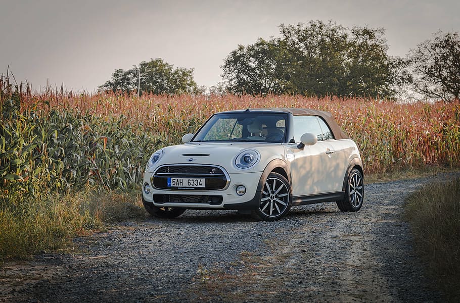 mini, convertible, minicooper, filed, ountry side, auto, car HD wallpaper