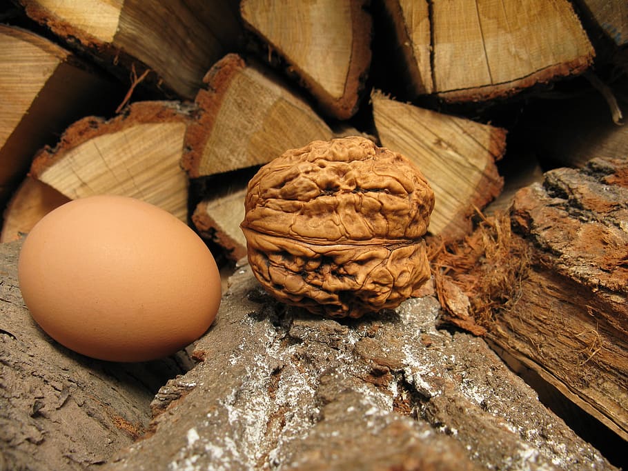walnut, large, hen's egg, eat, brown, nuts, shell, nature, food HD wallpaper