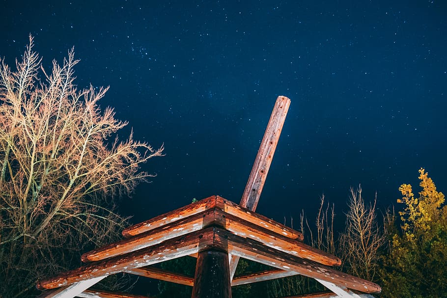 brown wooden frame beside tree during night time, brown wooden house frame near trees HD wallpaper