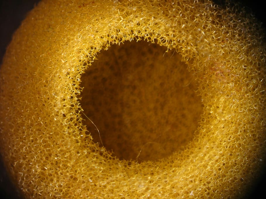 texture, sponge, design, pattern, yellow, surface, abstract HD wallpaper
