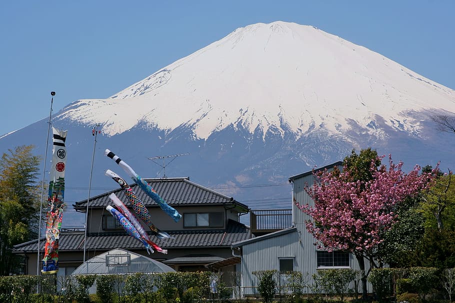 Mt Fuji, Gotemba, Satsuki, may, carp streamer, streamers, seasonal HD wallpaper