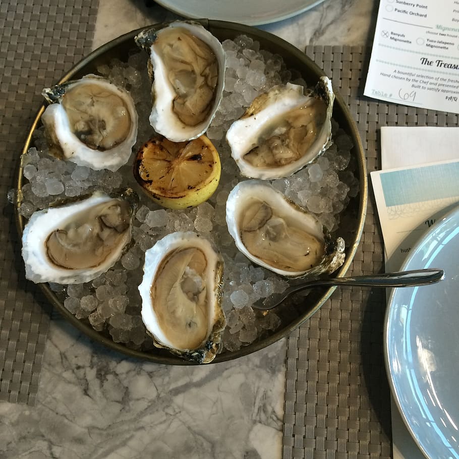 oysters, seafood, shellfish, food and drink, freshness, kitchen utensil HD wallpaper