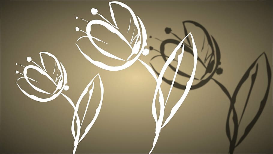 white flower painting, flowers, tulip, spring, blossom, bloom HD wallpaper