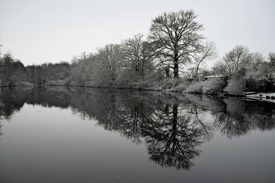 reflection, tree, landscape, lake, nature, zing winter, normandy HD wallpaper
